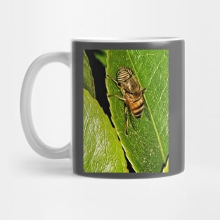 Eek a bee Mug